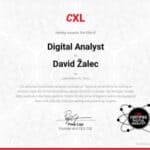 Digital Analyst
