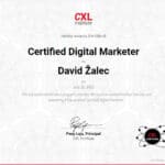 Digital Marketer